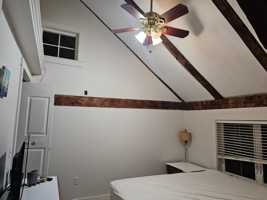 featured image of 12 Free St