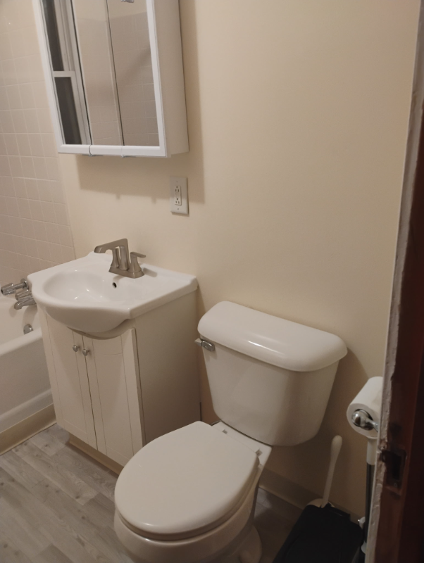 4528 S Spaulding Ave #1stFL - Photo 3 of 14