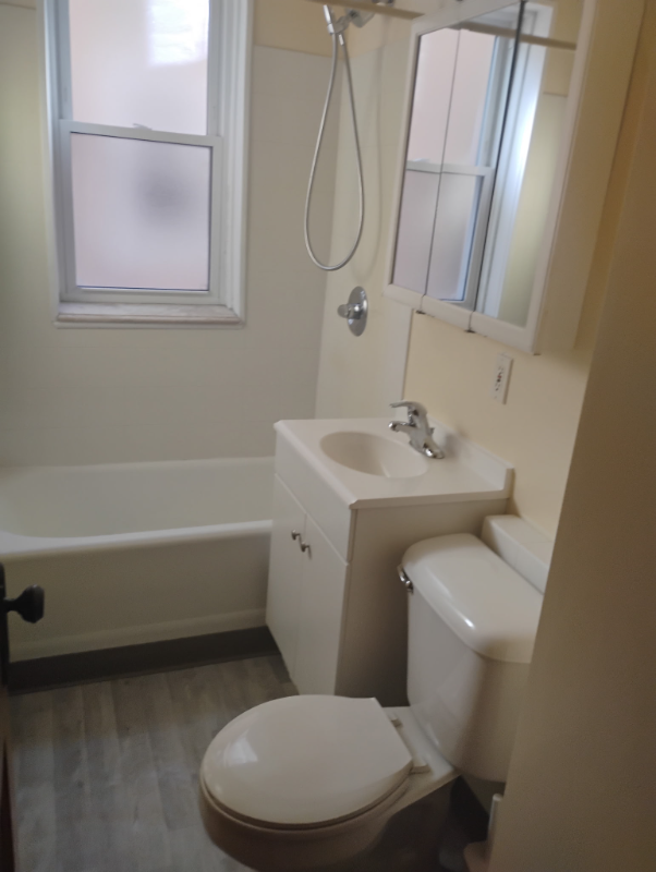 4528 S Spaulding Ave #1stFL - Photo 6 of 14