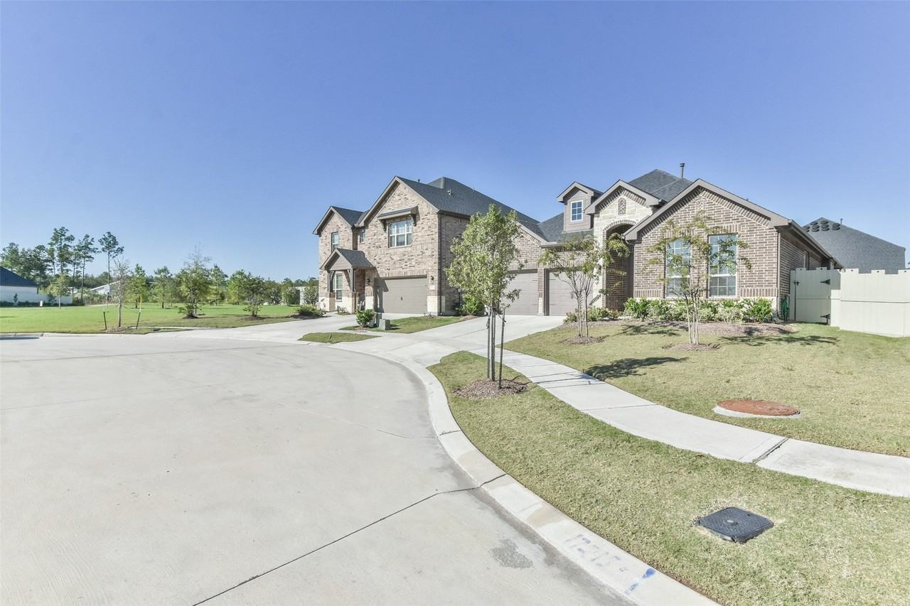 17218 Olive Blossom Ct - Photo 3 of 36