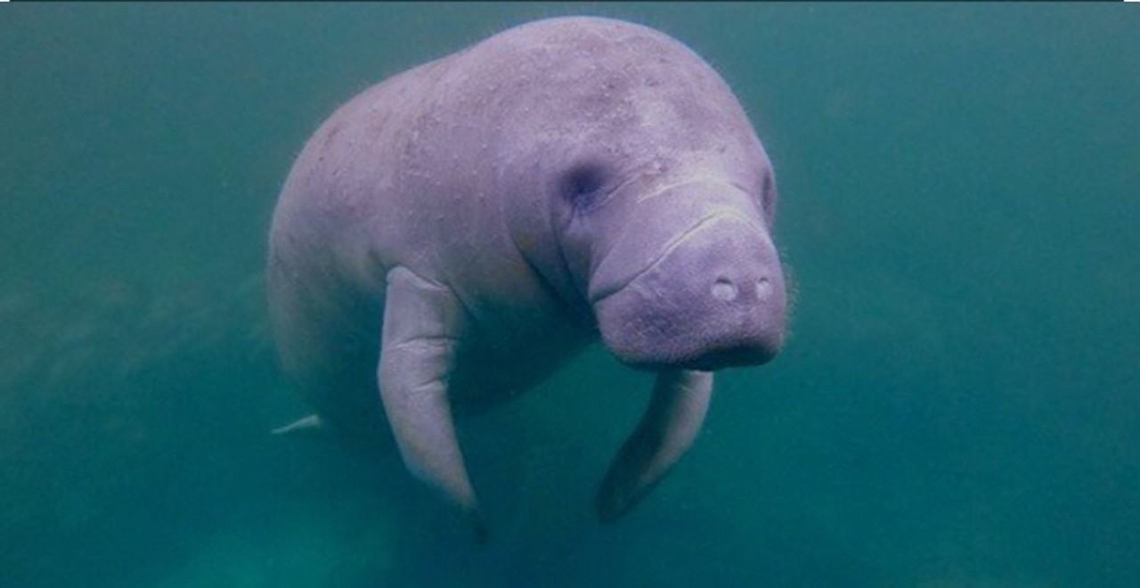 333 Sunrise Cay #2 - Photo 6 of 47