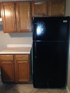 343 Ackerson Lake Dr - Photo 3 of 14