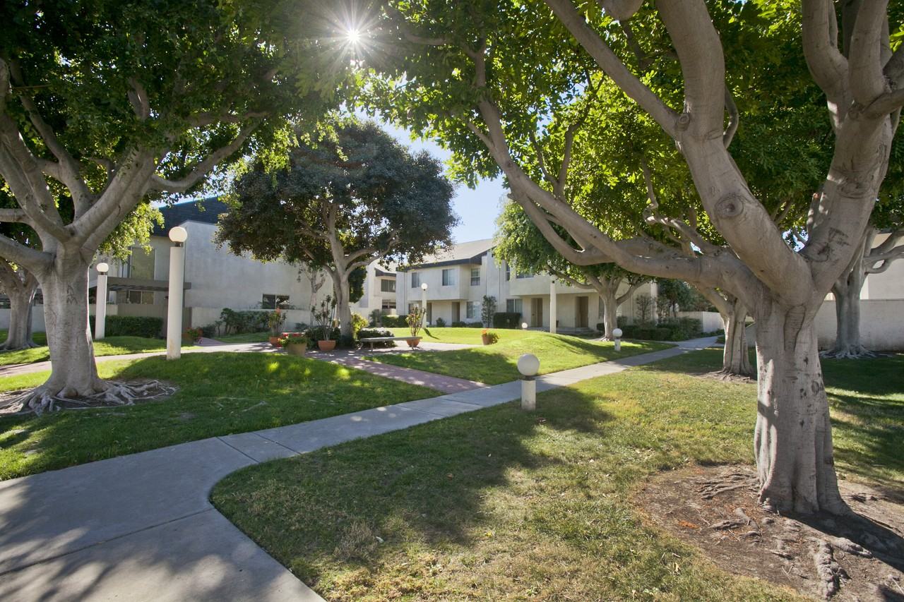 6848 Citriadora Ct - Photo 2 of 20