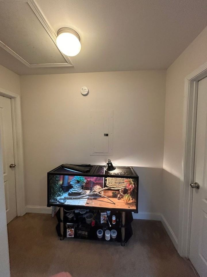 1585 Cedar Shoals Dr - Photo 5 of 16