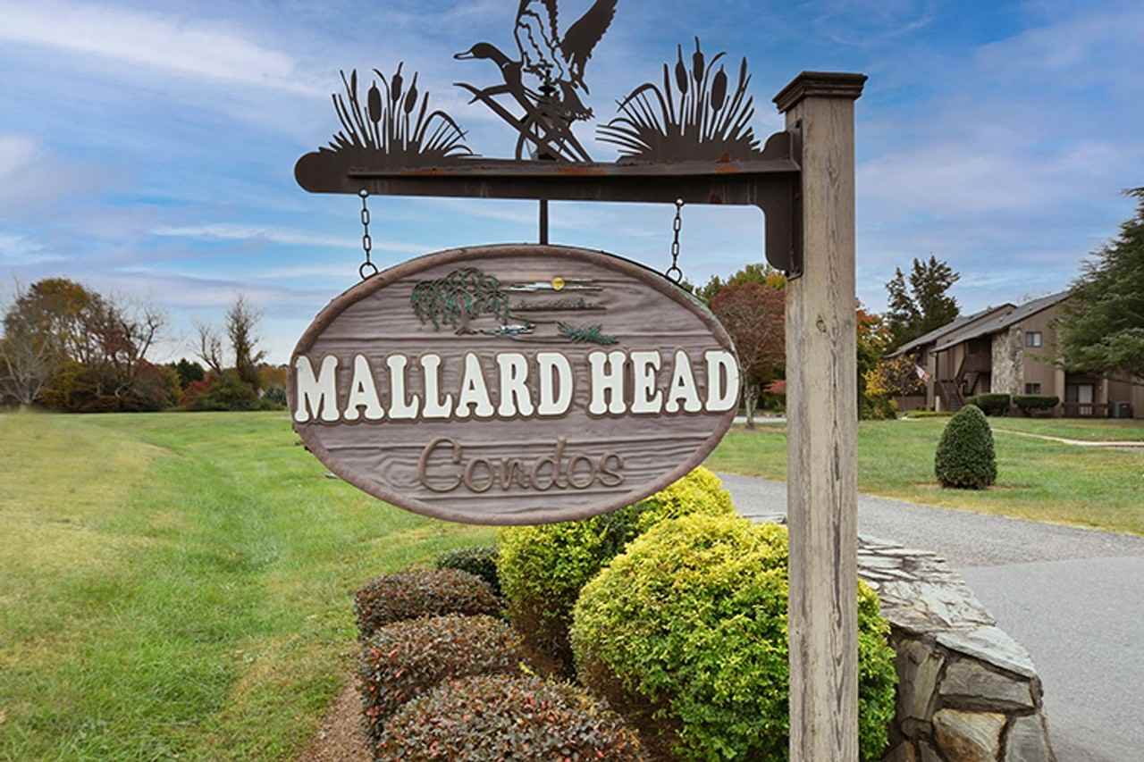 411 Mallard Head Ln - Photo 3 of 25