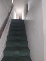 Spencer - Photo 1 of 1