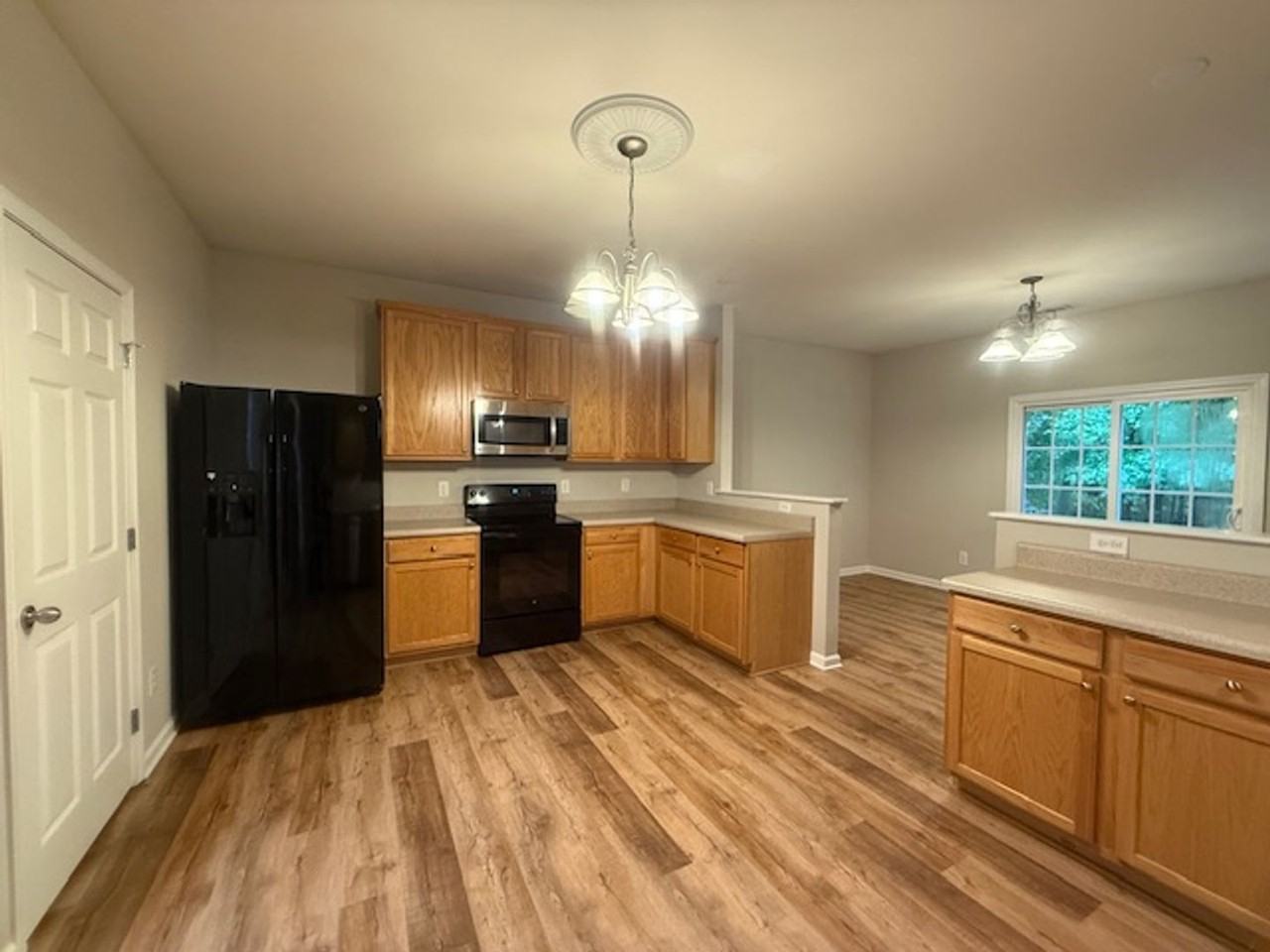 213 Carolina Town Ln - Photo 2 of 21