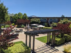 The Alterra: Beautiful One - Photo 1 of 1