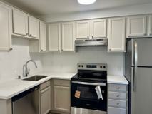 dolores - Photo 1 of 1