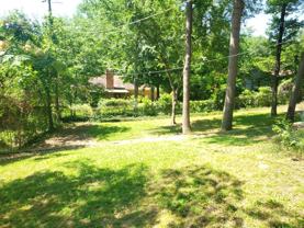 303 Mobile Dr - Photo 1 of 1