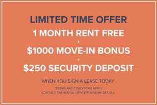 The Nines - Photo 1 of 1