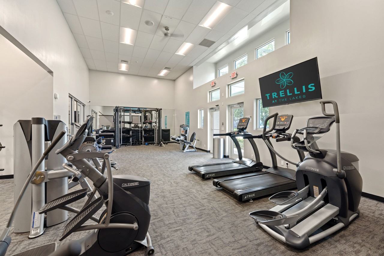 Trellis at the Lakes - Photo 6 of 31