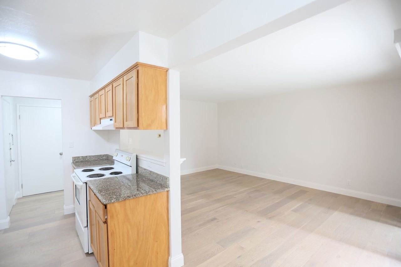 394 Orange St - Photo 5 of 19