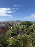 1533 Pualele Place #Apt A - Photo 1 of 1