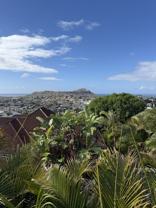 1533 Pualele Pl Apt A #Apt A - Photo 1 of 1