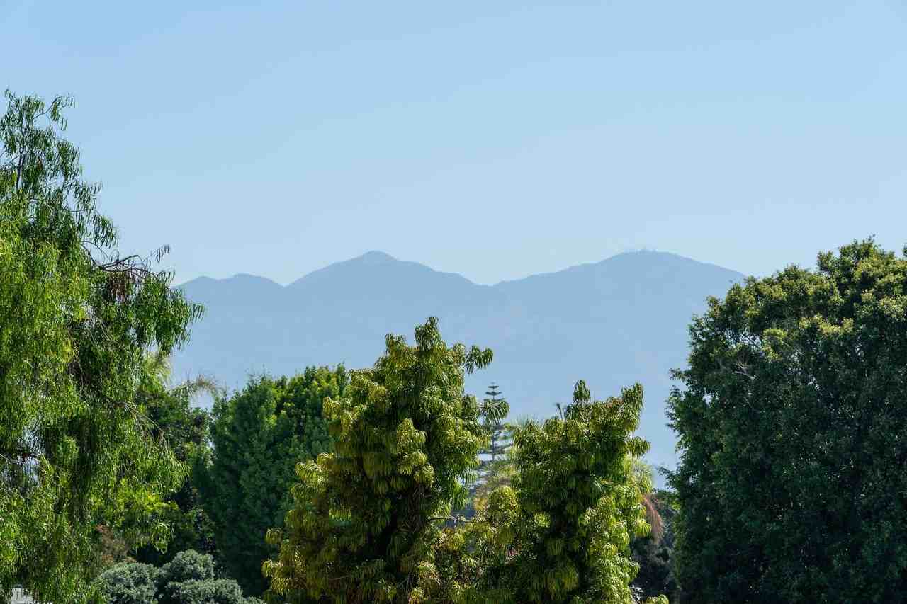 2196 Via Mariposa East #P - Photo 3 of 50