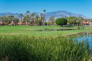 featured image of 131 Desert Falls Cir