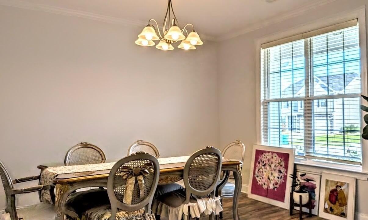 3113 Lobella Dr - Photo 5 of 15