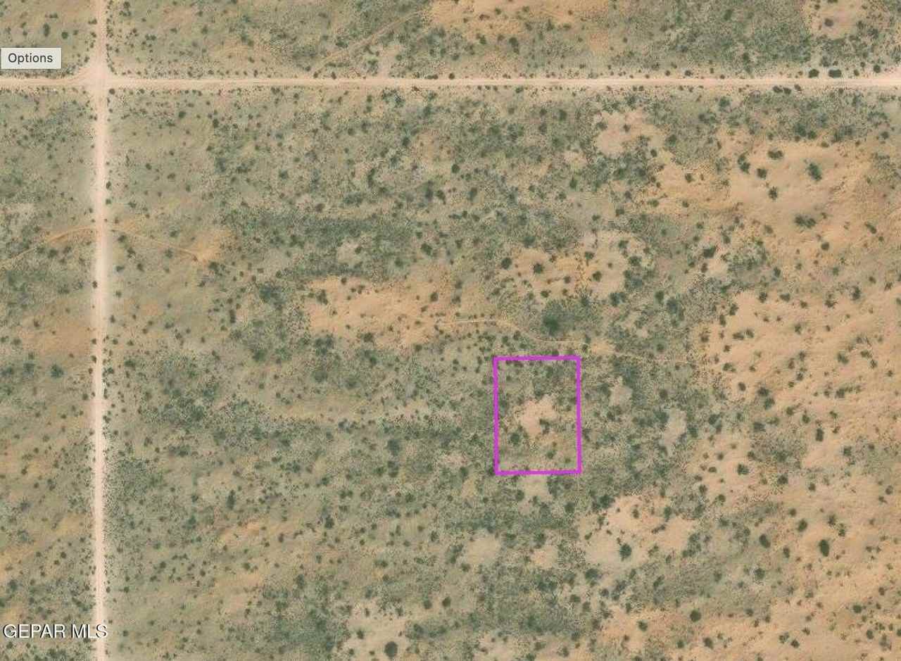 3 & 4 HORIZON CITY ESTATES #9 Place - Photo 5 of 6