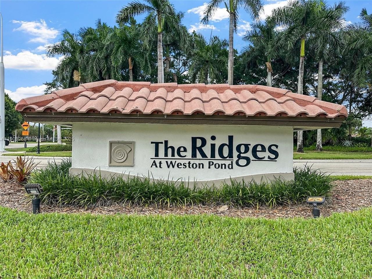 4490 Foxtail Ln - Photo 5 of 38