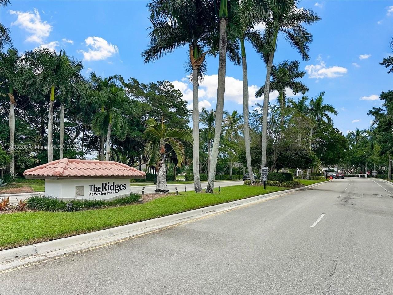 4490 Foxtail Ln - Photo 6 of 38