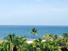 10275 Collins Ave #514 - Photo 1 of 1