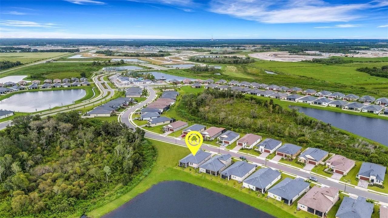 11858 Lilac Pearl Ln - Photo 6 of 50