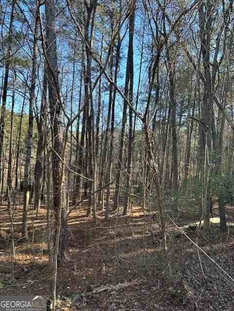 295 Handley Ct - Photo 5 of 25