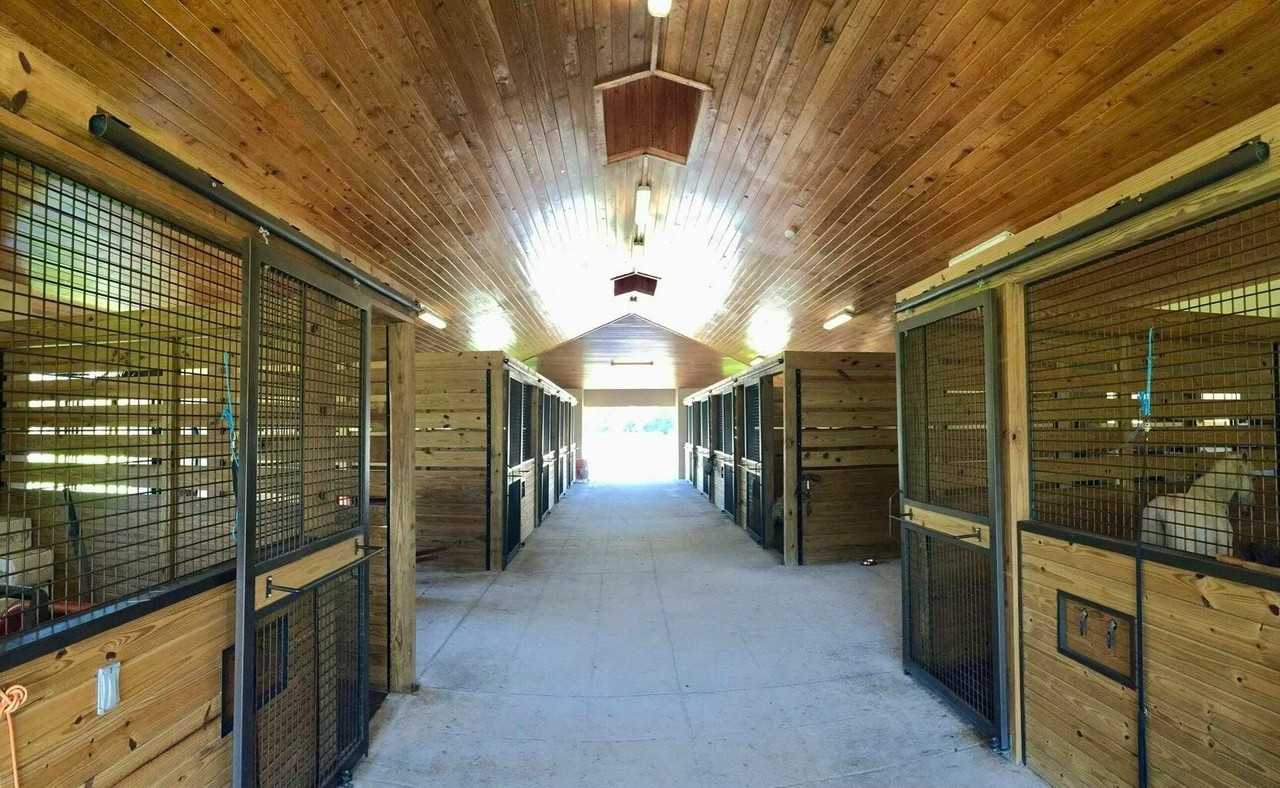 11951 Hawk Holw - Photo 5 of 10