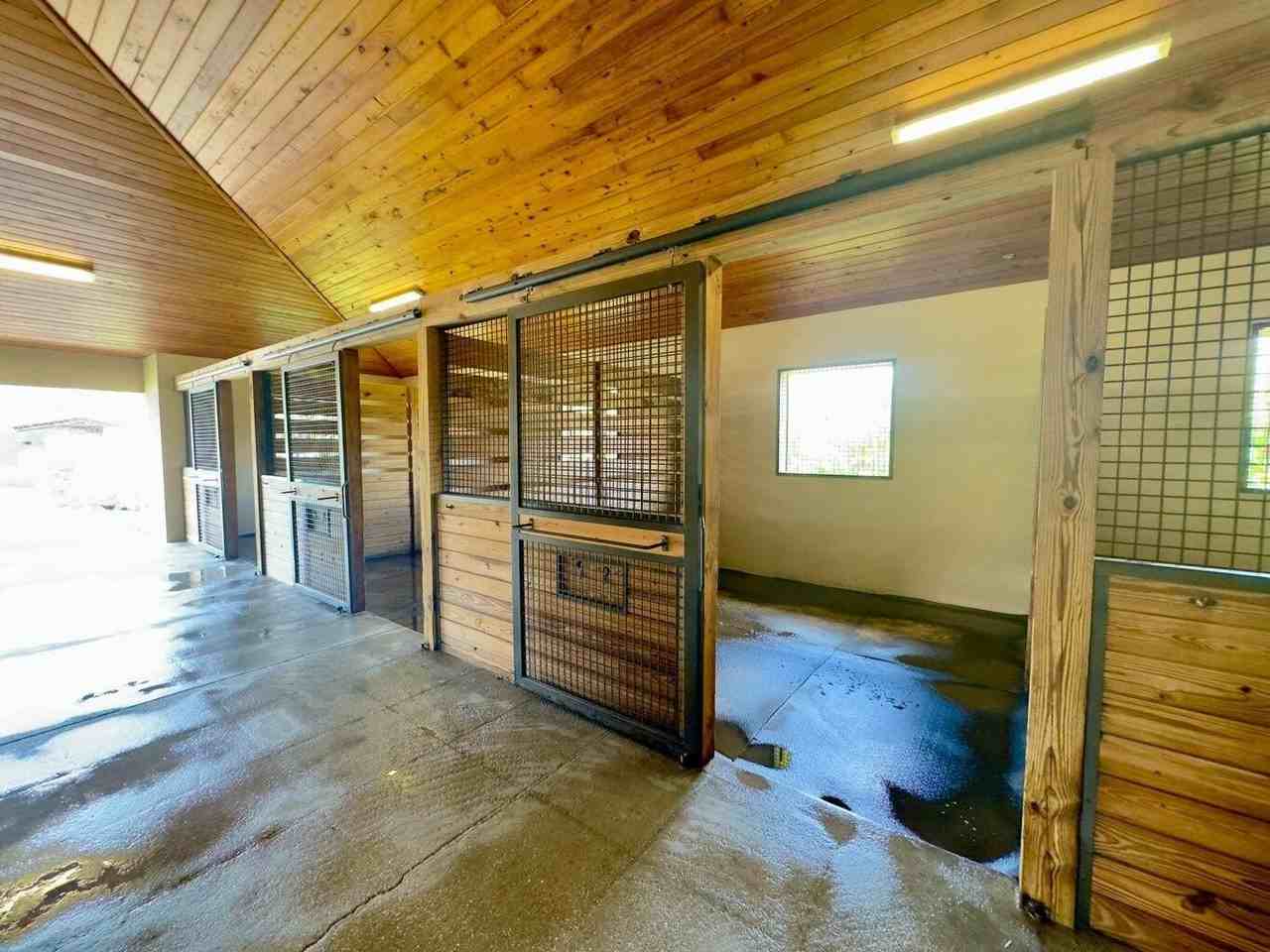 11951 Hawk Holw - Photo 6 of 10