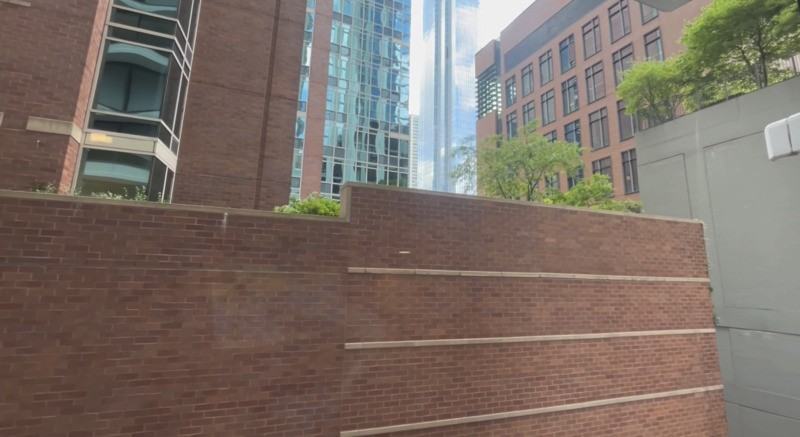 816 N Dearborn St - Photo 7 of 10