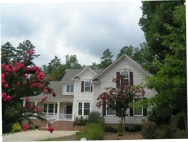 featured image of 72 Brown Bear