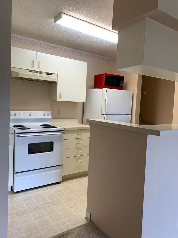351 Lone Hill Dr #306 - Photo 3 of 19