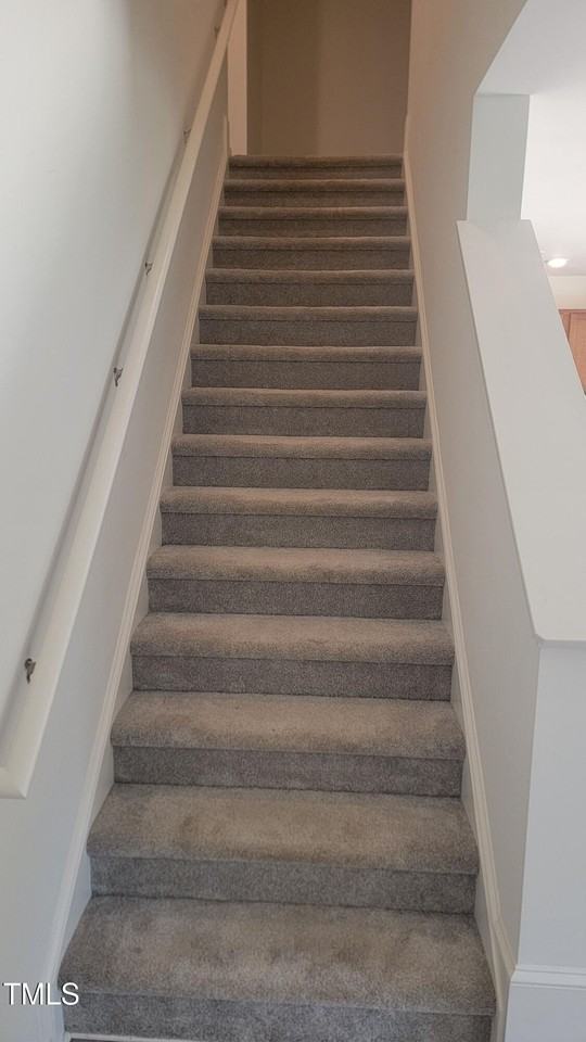 330 Purple Aster St - Photo 5 of 20