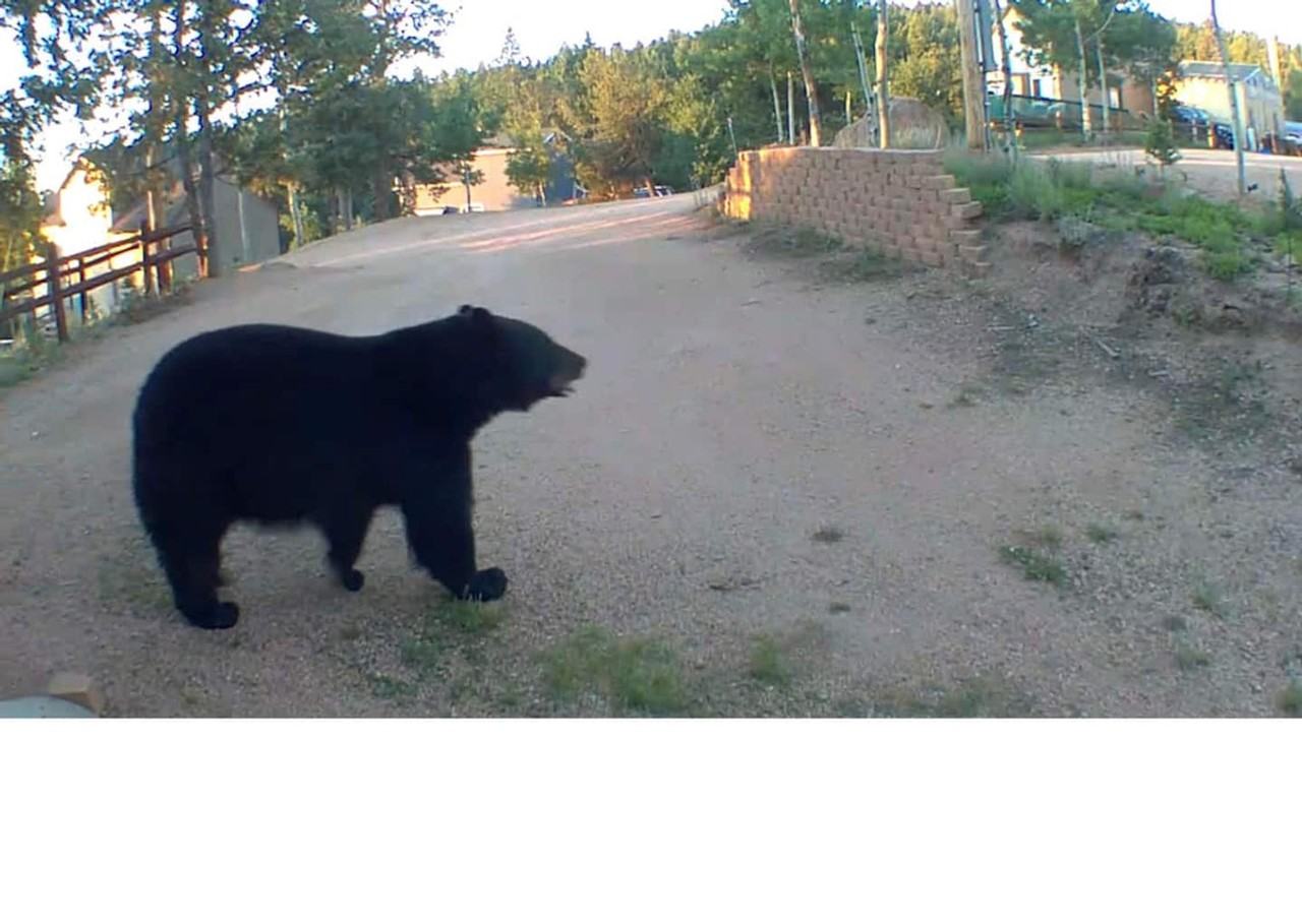 213 South West Street #1333679P - Photo 6 of 42