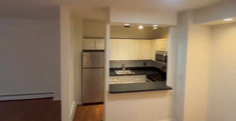 57 E Chestnut - Photo 4 of 14