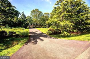 11501 Skipwith Lane - Photo 1 of 1