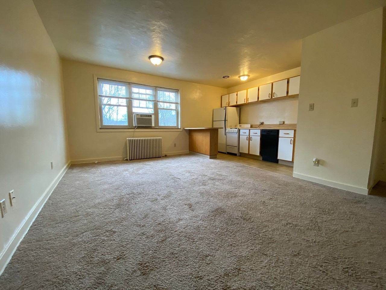 Chestnut Manor - Photo 3 of 7