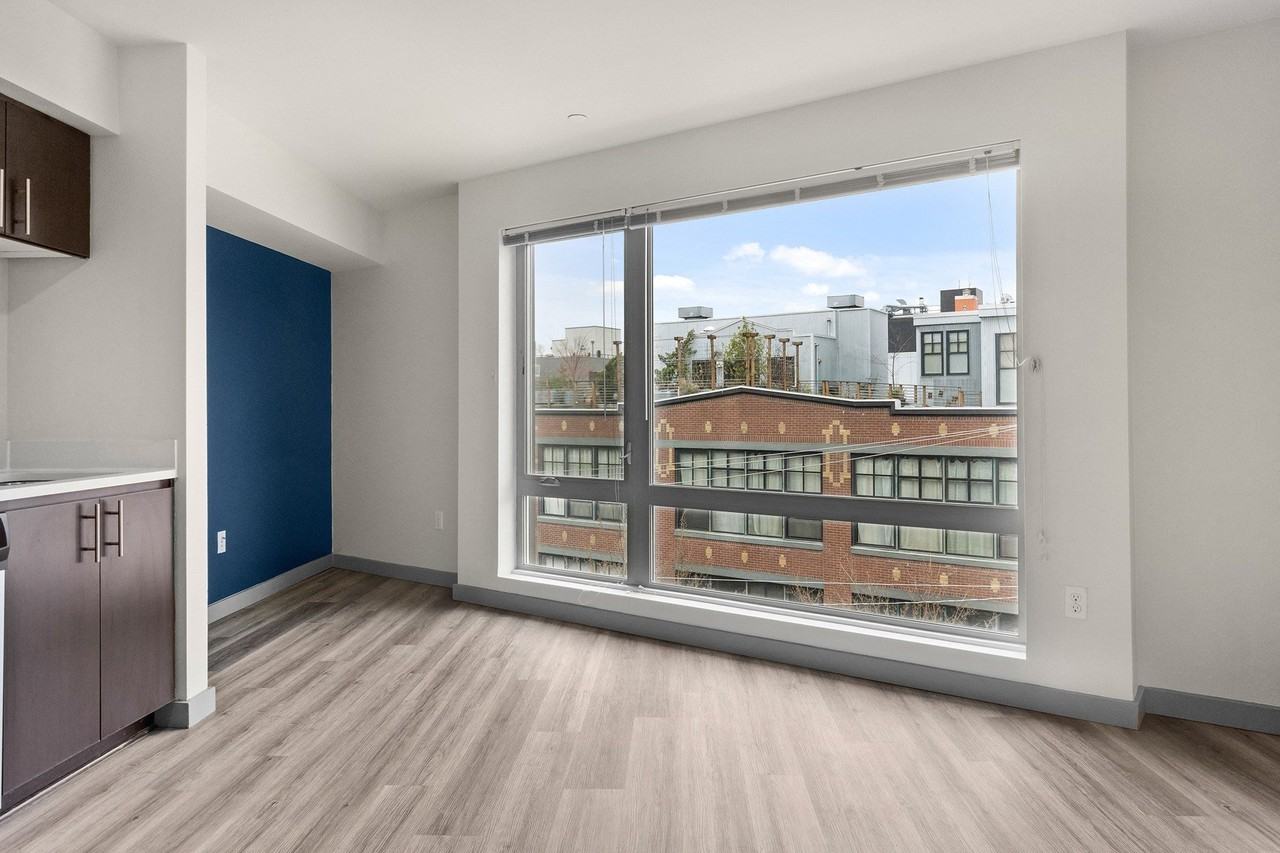 VIVA - Photo 7 of 29