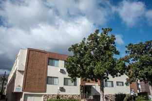 dry445 - Photo 1 of 1