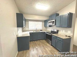10015 Amber Field Dr - Photo 4 of 7