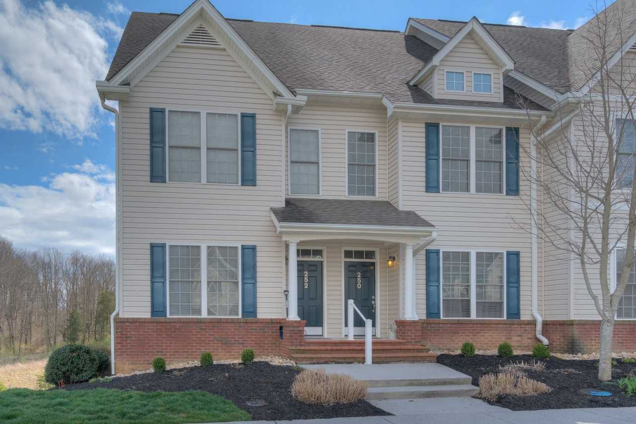 250 Sheliah Ct - Photo 7 of 20