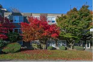 Angeline - Photo 1 of 1