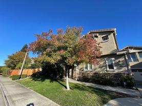 964 Maplegate Ct - Photo 1 of 1