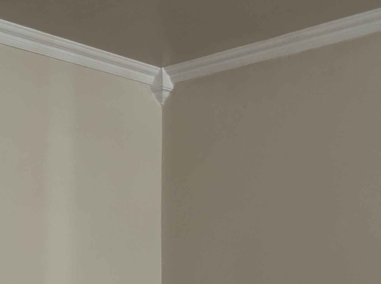 813 Jay St #B - Photo 4 of 15