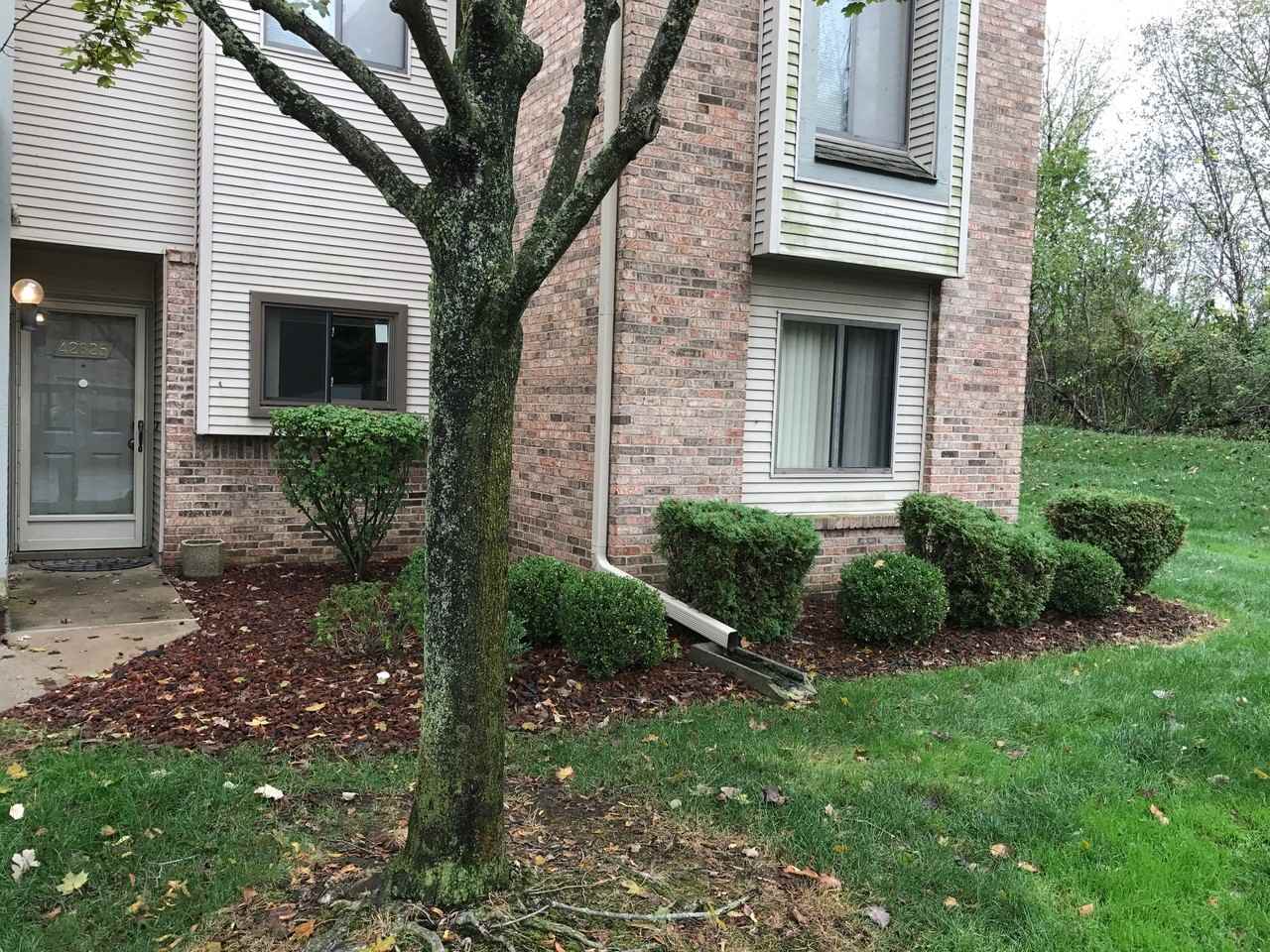 42825 Lilley Pointe Dr #42825 - Photo 2 of 23