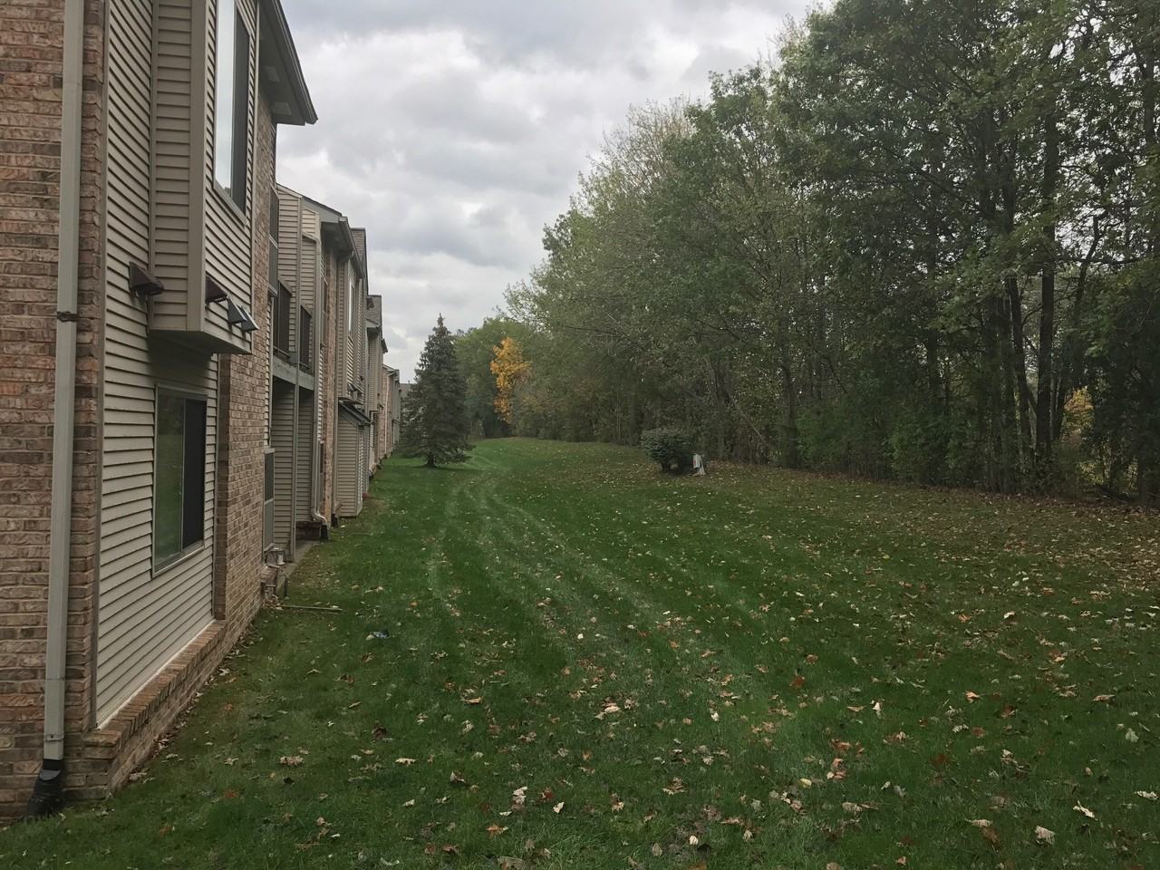 42825 Lilley Pointe Dr #42825 - Photo 5 of 23