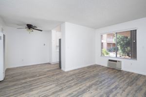 featured image of 163 Ballantyne St