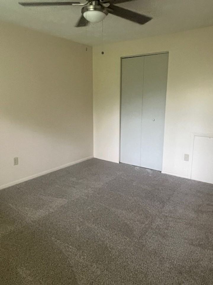 Rainforest Village - Photo 7 of 16