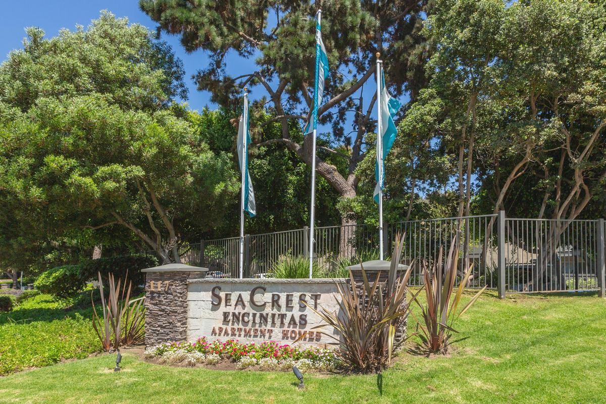 117 Rosebay Dr - Photo 4 of 15